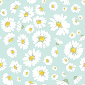 Daisy Bloom Wallpaper