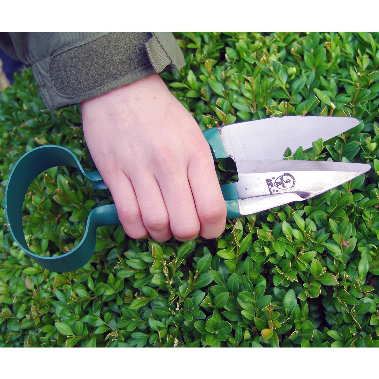 Topiary Trimming Shears - Small